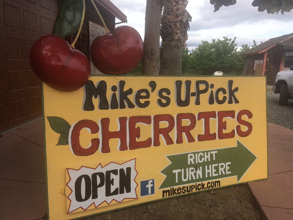 Follow the signs to Mike's Upick!